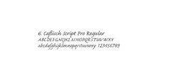 Font - CAFLISCH SCRIPT PRO REGULAR